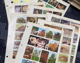 Scrapbook paper | Vintage Paper | Ephemera | Scrapbooking | Gifts for Her