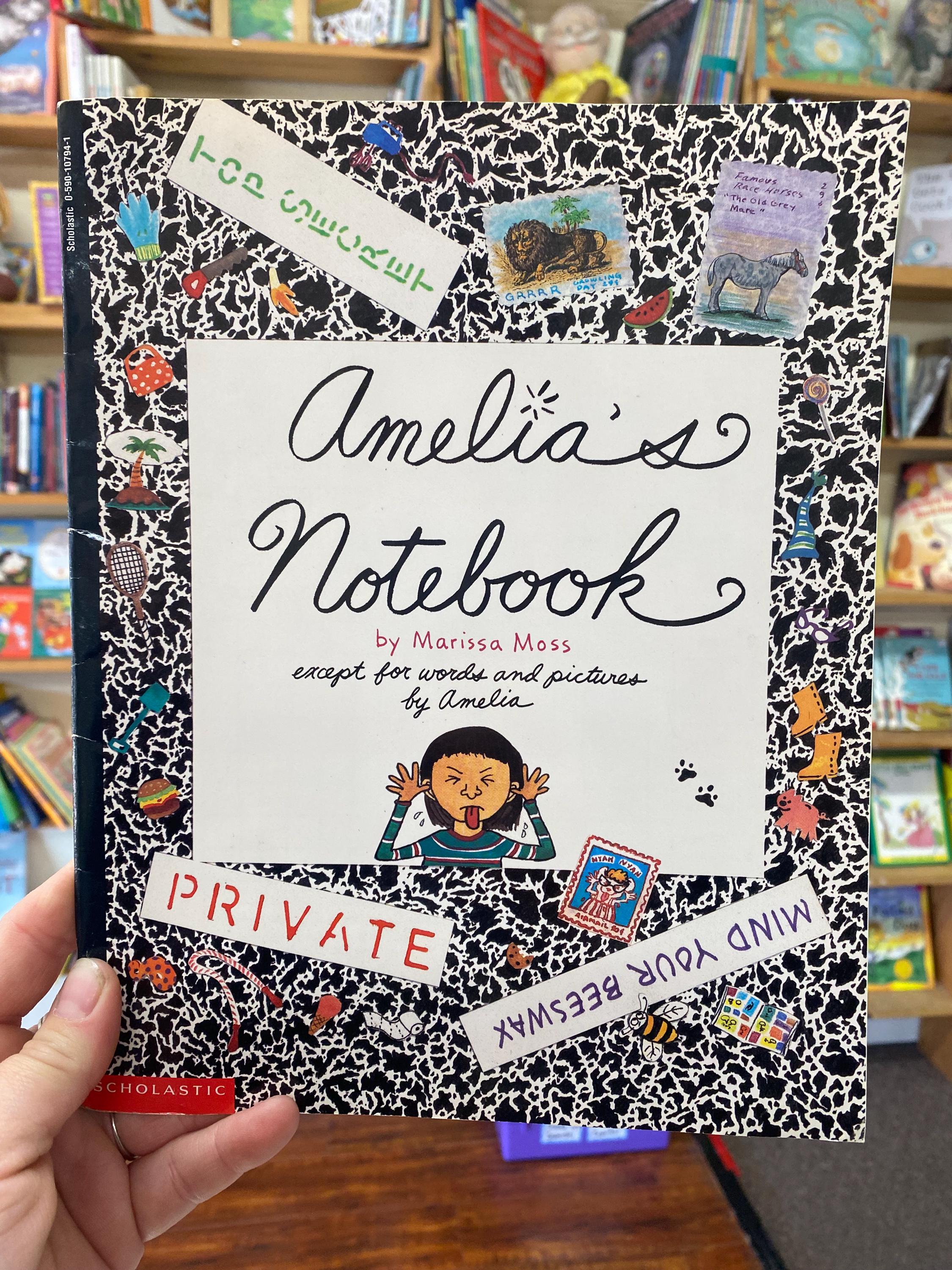 アメリカンガール Amelia's Notebook 2冊 Vintage American Girl