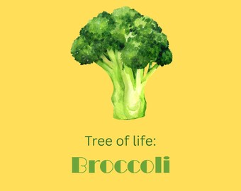 May include: A watercolor illustration of a broccoli floret on a yellow background. The text "Tree of life: Broccoli" is written in green below the broccoli.