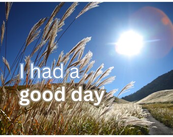 May include: A sunny landscape with tall, feathery grasses in the foreground and a path leading into the distance. The bright sun shines in a clear blue sky. Text reads "I had a good day."