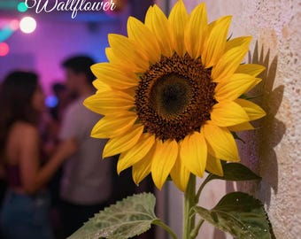 May include: A vibrant sunflower with bright yellow petals and a dark brown center. The flower is in full bloom, with green leaves and stem. The word "Wallflower" is written in cursive at the top left.