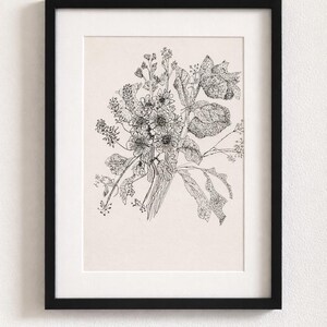 Puede incluir: Lámina artística enmarcada en negro con una detallada ilustración a pluma y tinta de un ramo de flores. La obra de arte está sobre un fondo crema, creando un contraste llamativo con el marco negro.