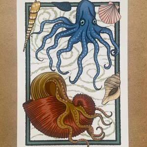 May include: Illustration of marine life featuring a blue octopus, a nautilus shell, and various seashells. The artwork has a green border and a background with wavy lines, creating a nautical theme.