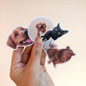 op maat gemaakte huisdierstickers, ansichtkaarten en op maat gemaakte feestartikelen. Gepersonaliseerde items voor huisdieren, evenementen en bedrijven, vervaardigde directe communicatie