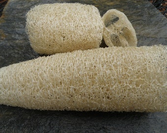 Luffa Gourd Seeds, Natural Sponge Seeds, Organically Grown Seeds