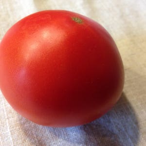 Beef Steak Heirloom Tomato Seeds, Organically Grown Seeds, Non GMO Seeds image 1