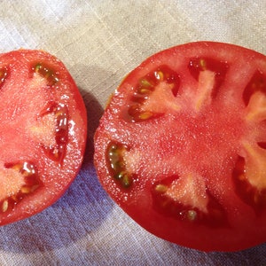 Beef Steak Heirloom Tomato Seeds, Organically Grown Seeds, Non GMO Seeds image 2