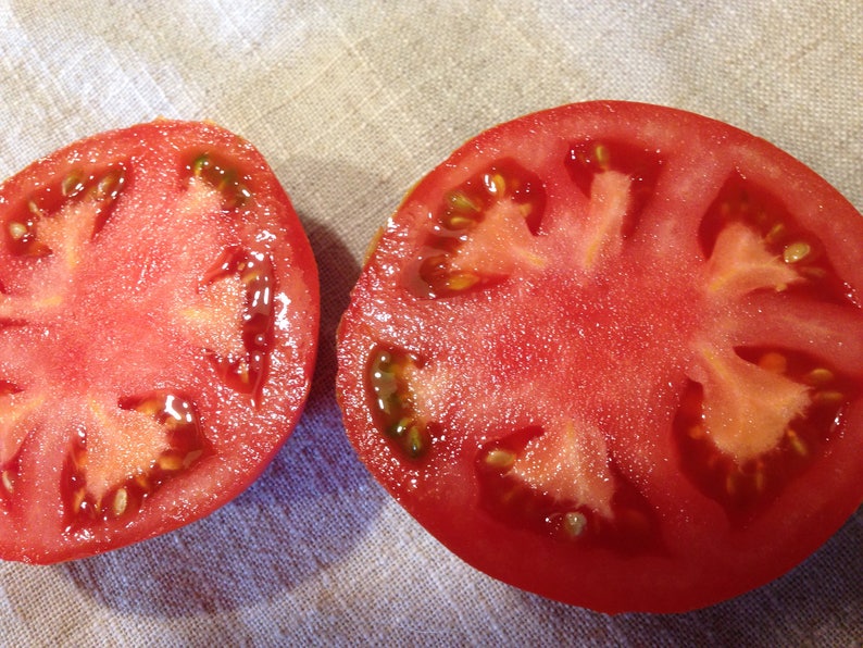 Beef Steak Heirloom Tomato Seeds, Organically Grown Seeds, Non GMO Seeds image 2