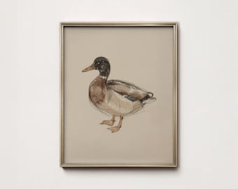 Mallard Duck Print: Bird Farmhouse Wall Art Decor (Digital Download)