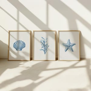 Minimalistische Wanddekoration, Küsten Wandkunst 3er-Set Drucke, Muschel, Koralle, Seestern, Strandhaus, Aquarell Poster