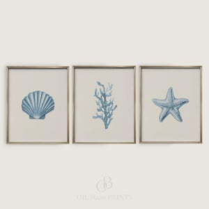 Blue Coastal Wall Art Set: Clam Shell, Coral, Starfish (Digital Download)