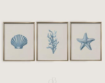 Blue Coastal Wall Art Set: Clam Shell, Coral, Starfish (Digital Download)