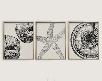 Coastal Wall Art Set of 3: Starfish & Seashell Prints, Minimalist Neutral Beach House Decor PRINTABLE (Digital Download)