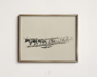Hand Drawn Western Cow Print: Vintage Farmhouse Printable, Bull Herd Wall Decor (Digital Download)