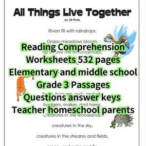 Reading Comprehension Worksheets Grade 3 – 532-Page Mega Bundle – Passages, Questions, Answer Key Digital Printable PDF Teacher & Homeschool