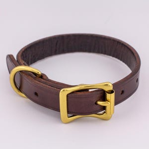 May include: A brown leather dog collar with a gold metal buckle and D-ring.