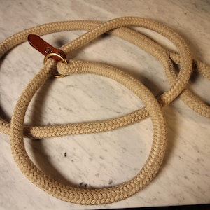 Handmade 1/2&quot; braided nylon slip lead for dog training.