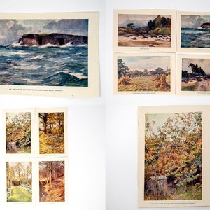 Set of 14 small vintage colour illustrations for framing, countryside themed, one seascape, one garden, not mounted or matted, not framed. image 1