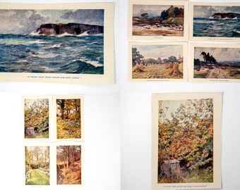 Set of 14 small vintage colour illustrations for framing, countryside themed, one seascape, one garden, not mounted or matted, not framed.