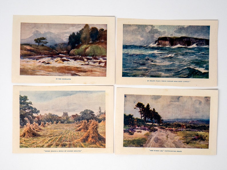 Set of 14 small vintage colour illustrations for framing, countryside themed, one seascape, one garden, not mounted or matted, not framed. image 3