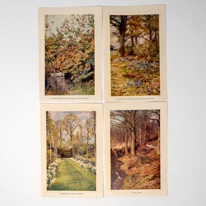 Set of 14 small vintage colour illustrations for framing, countryside themed, one seascape, one garden, not mounted or matted, not framed. image 2