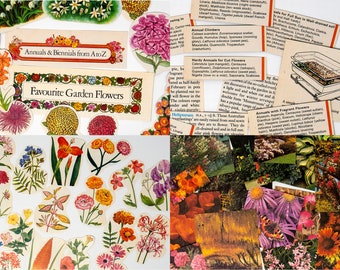 Gardening themed vintage paper pack, 54 pieces, mainly colour.