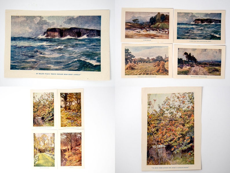 Set of 14 small vintage colour illustrations for framing, countryside themed, one seascape, one garden, not mounted or matted, not framed. image 1