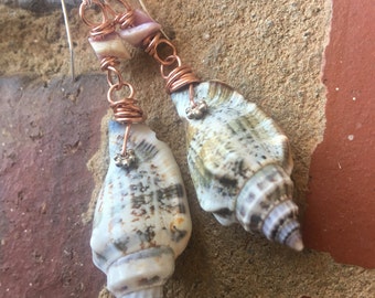 Ocean Breeze earrings * Copper * Silver filled * Cebu Beauty shells *  Spiral Snail shells