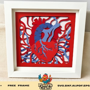 Anatomisches Herz Shadow Box SVG, 3D menschliches Herz Papierschnitt Vorlage, medizinisch-wissenschaftliche Wand-Dekor Cricut Silhouette Laser-Dateien