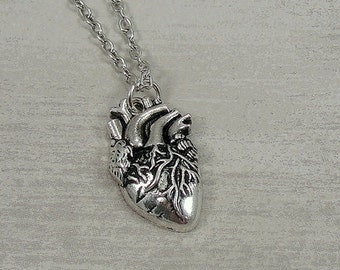 Human Heart Necklace, Silver Realistic Human Heart Charm on a Silver Cable Chain