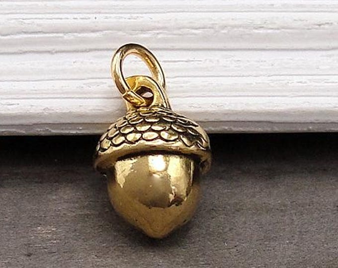 Gold Acorn Charm, Acorn Pendant, Acorn Jewelry, 3D Acorn Charm for Necklace or Bracelet, Fall Jewelry, Autumn Charm, Nature Charm