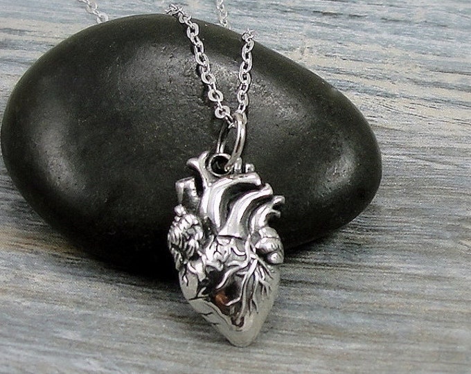 Anatomical Heart Necklace, Sterling Silver Anatomical Heart Charm on a Silver Cable Chain, Realistic Heart Necklace, Human Heart Necklace