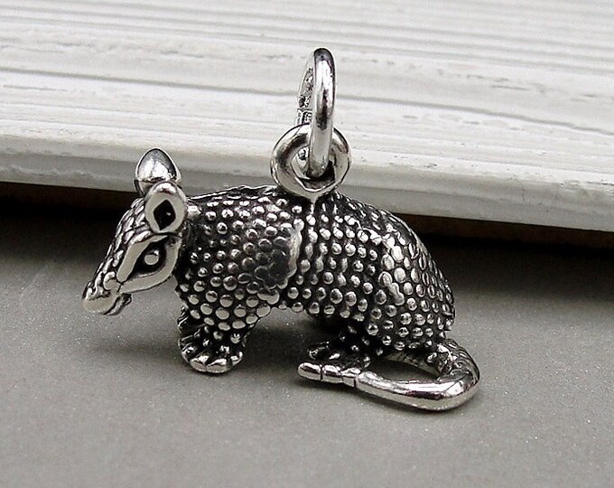 Armadillo Charm, Sterling Silver 3D Armadillo Charm for Necklace or Bracelet, Texas Charm, Southwestern Charm, Armadillo Jewelry