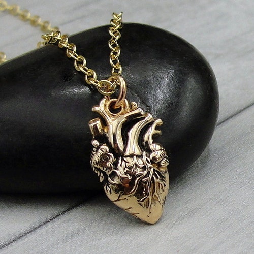 Anatomical Heart Necklace Gold Anatomical Heart Charm - Etsy