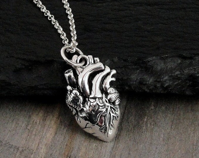 Anatomical Heart Necklace, Sterling Silver Anatomical Heart Charm on a Silver Cable Chain, Realistic Heart Necklace, Human Heart Necklace