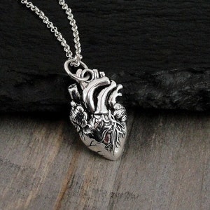 Anatomical Heart Necklace, Sterling Silver Anatomical Heart Charm on a Silver Cable Chain, Realistic Heart Necklace, Human Heart Necklace