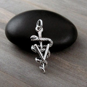 Veterinarian Charm, 925 Sterling Silver 3D Vet Symbol Charm for Necklace or Bracelet, Veterinarian Pendant, Veterinarian Gift