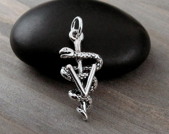 Veterinarian Charm, 925 Sterling Silver 3D Vet Symbol Charm for Necklace or Bracelet, Veterinarian Pendant, Veterinarian Gift