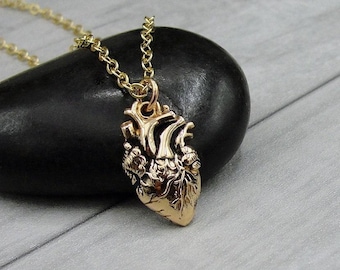 Anatomical Heart Necklace, Gold Anatomical Heart Charm Necklace, Realistic Heart Necklace, Human Heart Necklace, Beating Heart Necklace