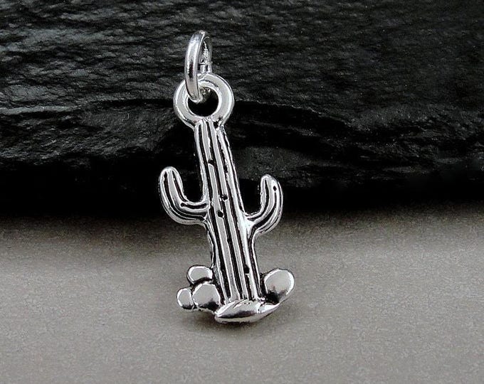 Cactus Charm, Desert Succulent Charm for Necklace or Bracelet, Wild West Charm, Prickly Pear Charm, Cacti Charm, Cactus Gift, Cactus Jewelry
