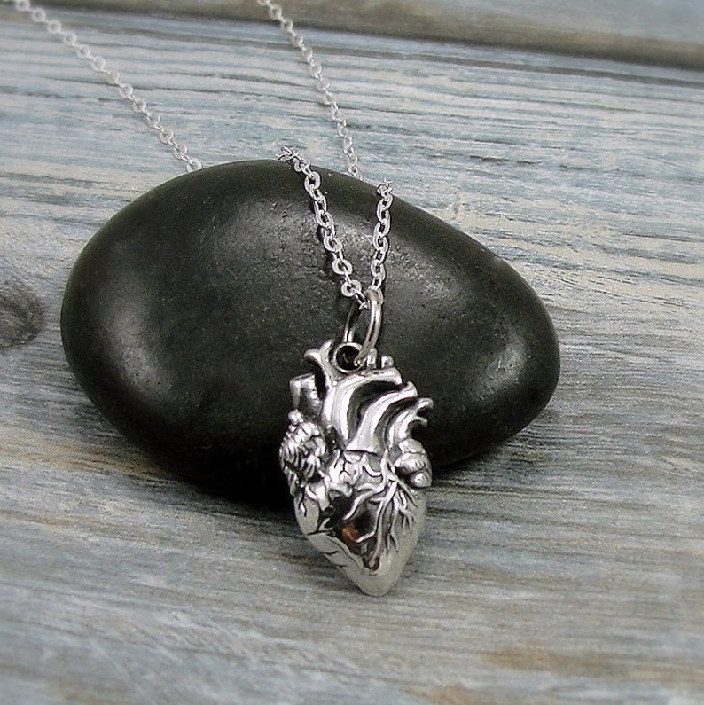 Anatomical Heart Necklace, Sterling Silver Anatomical Heart Charm on a Silver Cable Chain, Realistic Heart Necklace, Human Heart Necklace image 1