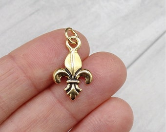 Fleur De Lys Charm, Gold Fleur De Lis Charm, Fleur-De-Lys Pendant, French Royalty Charm, French Lily, New Orleans, Mardi Gras Charm