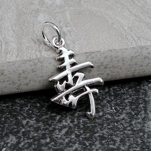 Chinese Long Life Charm, Sterling Silver Chinese Life Symbol Charm for Necklace or Bracelet, Longevity Symbol Charm, Chinese Symbol Pendant