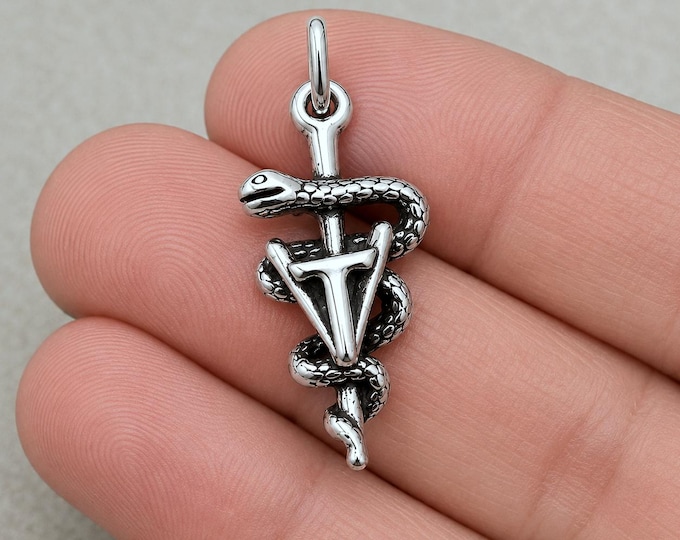 Vet Tech Charm, 925 Sterling Silver 3D Vet Tech Pendant, Veterinary Assistant Charm, Vet Tech Gift, Veterinary School Graduation Gift