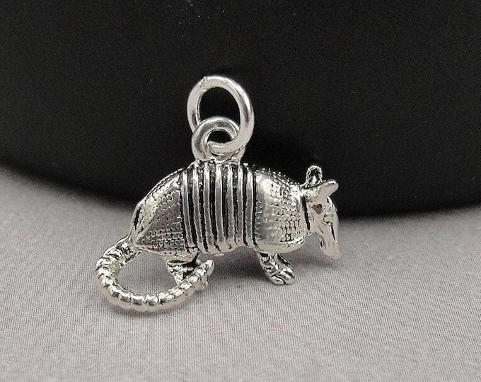Armadillo Charm, Silver Texas Armadillo Charm for Necklace or Bracelet, Texas Charm, 3D Armadillo Charm, Armadillo Gift, Armadillo Jewelry