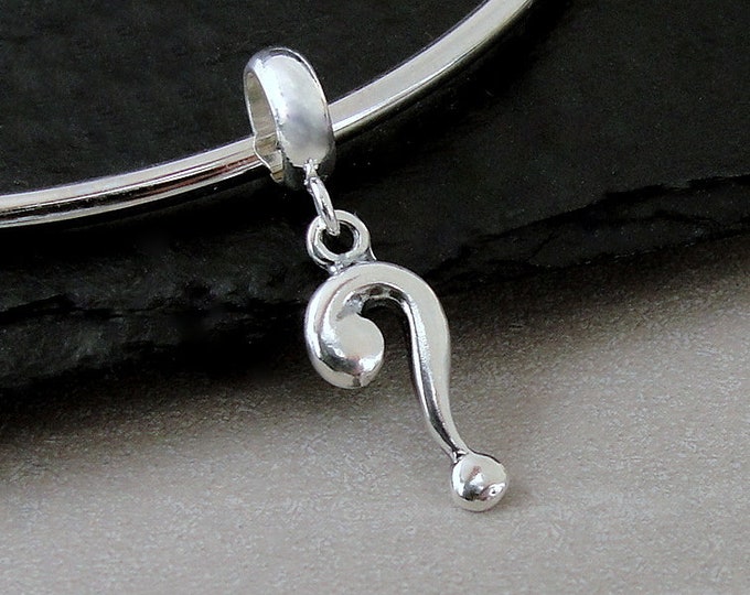 Question Mark European Charm, Sterling Silver Question Mark Charm, Question Mark Dangle Charm, Large Hole Bead, English Teacher Gift Jewelry