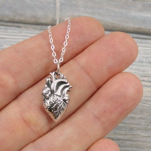 Anatomical Heart Necklace, Sterling Silver Anatomical Heart Charm on a Silver Cable Chain, Realistic Heart Necklace, Human Heart Necklace image 2