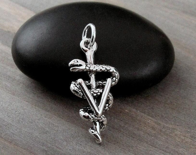 Veterinarian Charm, 925 Sterling Silver 3D Vet Symbol Charm for Necklace or Bracelet, Veterinarian Pendant, Veterinarian Gift