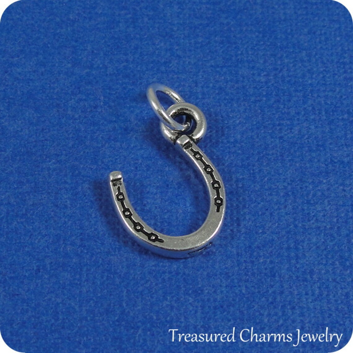 Lucky Charm Horseshoe Necklace main image 1