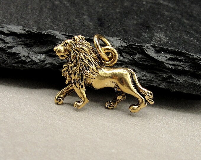 Gold Lion Charm, Lion Charm for Necklace or Bracelet, Gold Lion Jewelry, Lion Pendant, Leo Charm, Jungle Animal Charm, Lion Gift